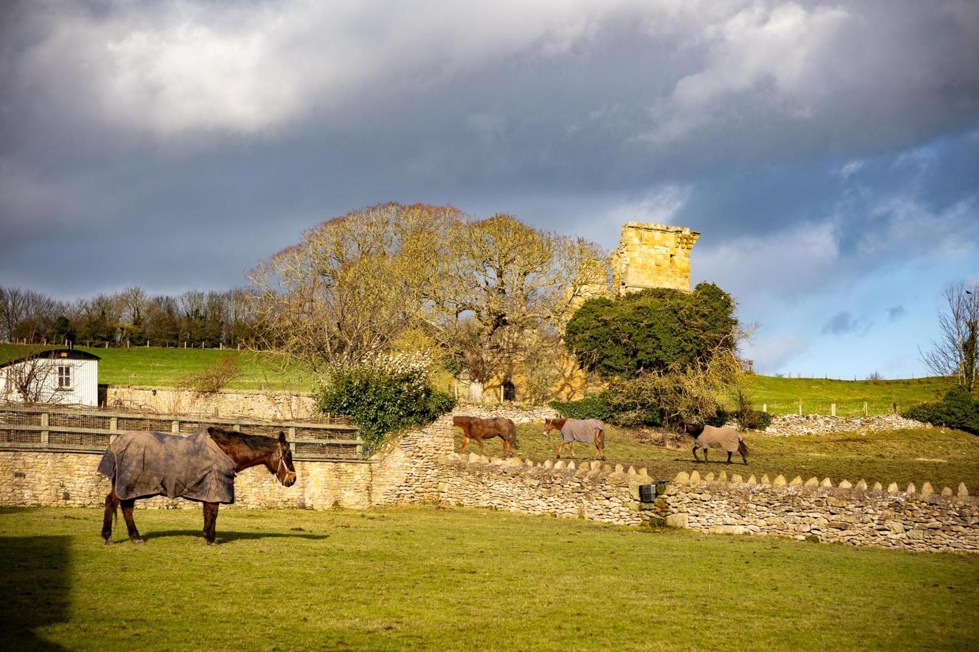Yew Tree Cottage East Ayton Exterior photo